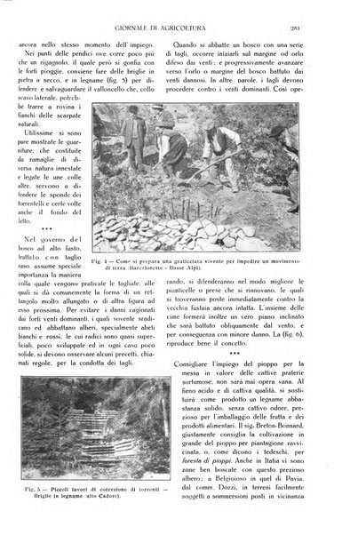 L' Italia agricola giornale di agricoltura