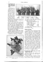 giornale/TO00210416/1915/unico/00000040