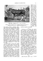 giornale/TO00210416/1915/unico/00000073