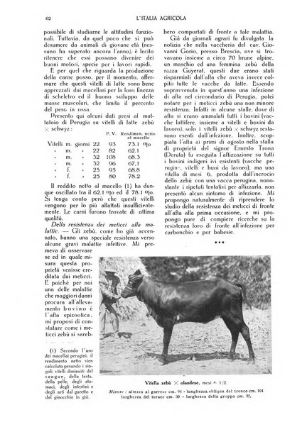 L' Italia agricola giornale di agricoltura