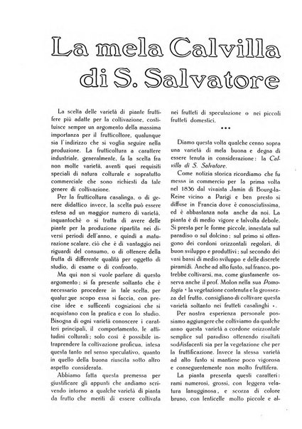 L' Italia agricola giornale di agricoltura