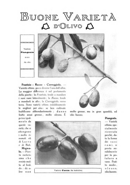 L' Italia agricola giornale di agricoltura