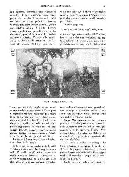 L' Italia agricola giornale di agricoltura