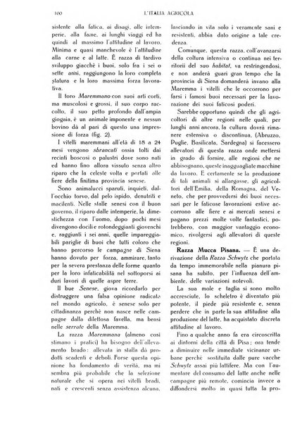 L' Italia agricola giornale di agricoltura