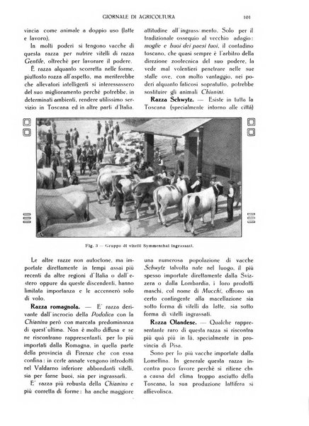 L' Italia agricola giornale di agricoltura