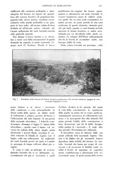 L' Italia agricola giornale di agricoltura