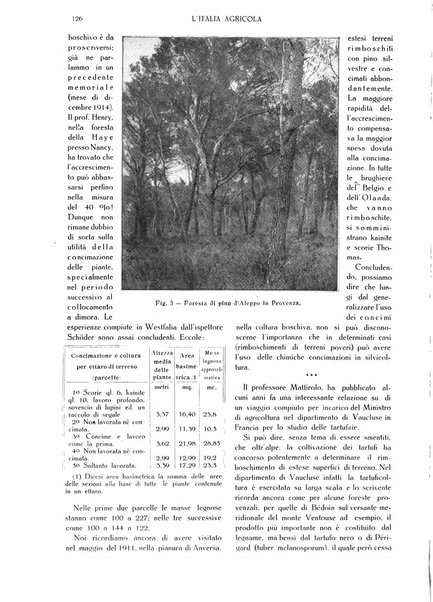 L' Italia agricola giornale di agricoltura