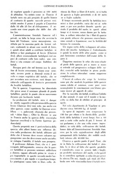 L' Italia agricola giornale di agricoltura