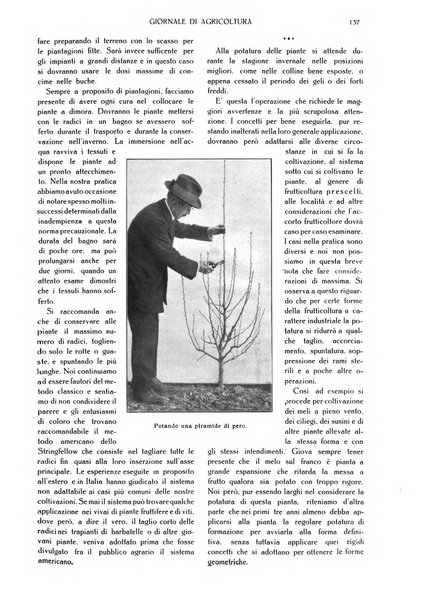 L' Italia agricola giornale di agricoltura