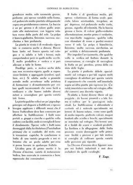 L' Italia agricola giornale di agricoltura