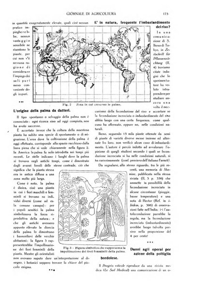 L' Italia agricola giornale di agricoltura