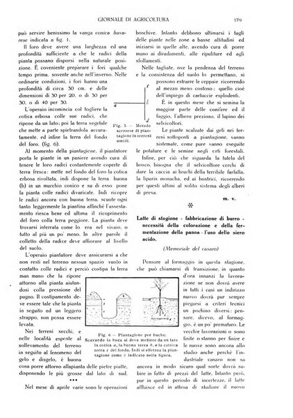 L' Italia agricola giornale di agricoltura