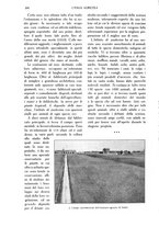 giornale/TO00210416/1915/unico/00000230