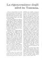 giornale/TO00210416/1915/unico/00000232