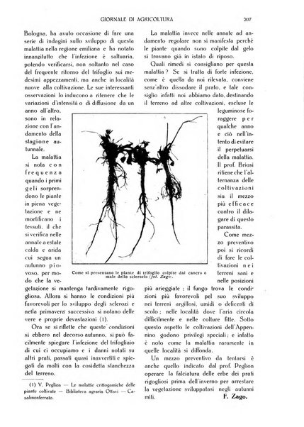 L' Italia agricola giornale di agricoltura