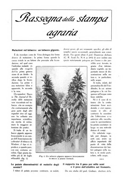 L' Italia agricola giornale di agricoltura