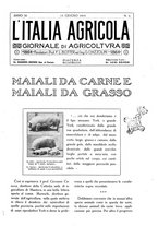 giornale/TO00210416/1915/unico/00000277