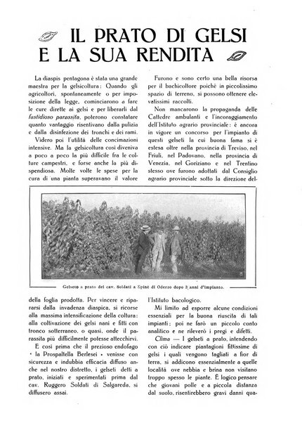 L' Italia agricola giornale di agricoltura