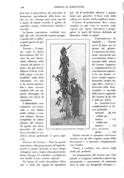 L' Italia agricola giornale di agricoltura