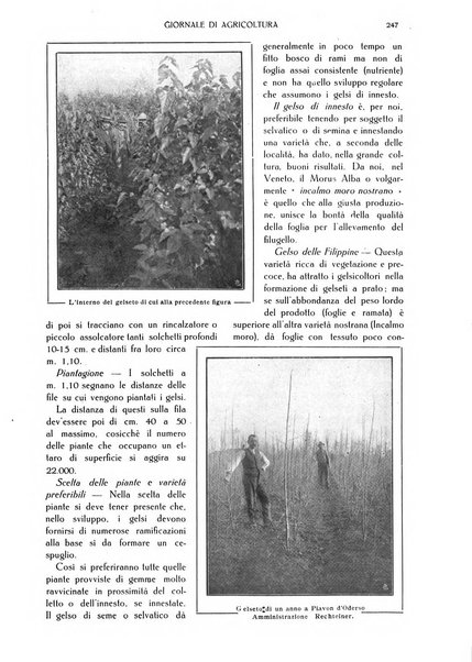 L' Italia agricola giornale di agricoltura