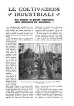 giornale/TO00210416/1915/unico/00000295