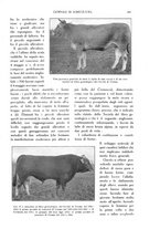 giornale/TO00210416/1915/unico/00000333