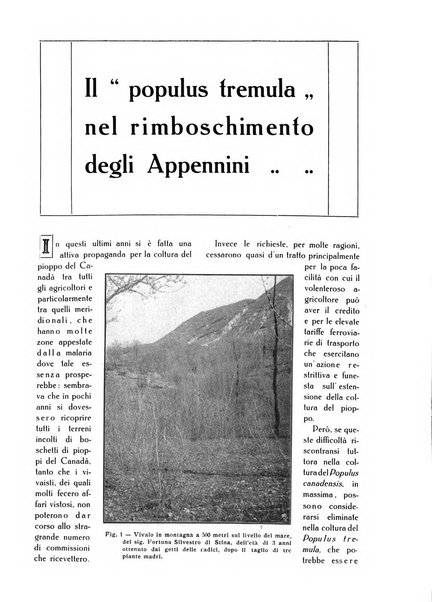 L' Italia agricola giornale di agricoltura