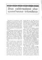 giornale/TO00210416/1915/unico/00000356