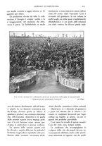 giornale/TO00210416/1915/unico/00000357