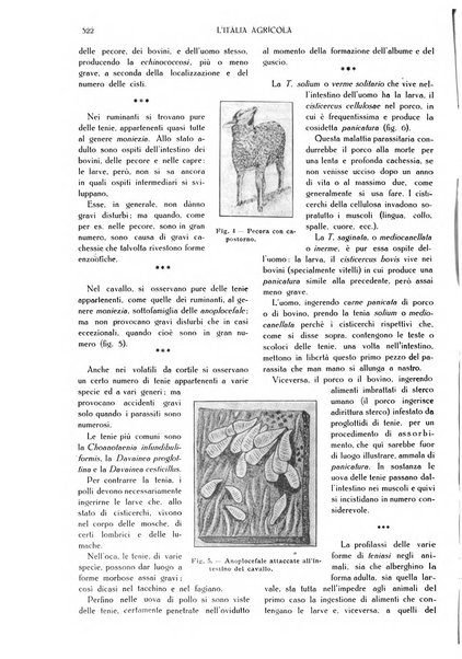 L' Italia agricola giornale di agricoltura