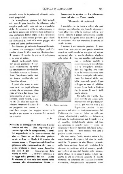 L' Italia agricola giornale di agricoltura