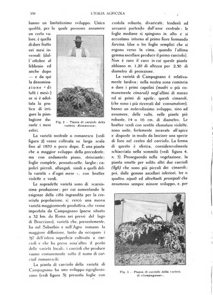 L' Italia agricola giornale di agricoltura