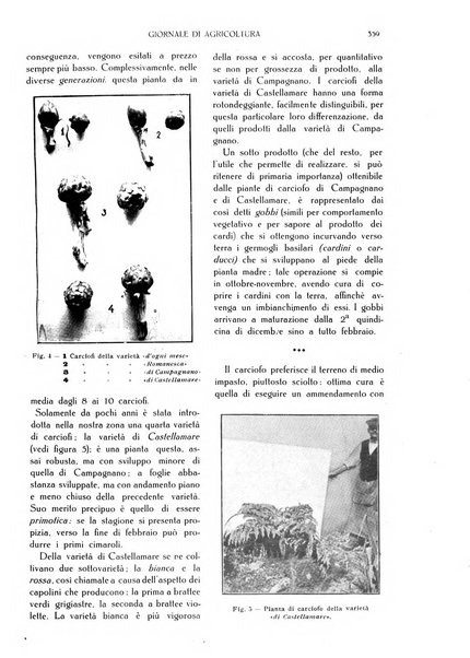 L' Italia agricola giornale di agricoltura