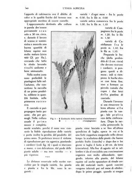 L' Italia agricola giornale di agricoltura