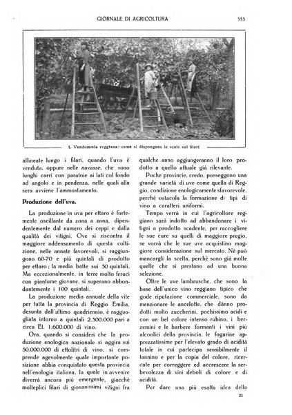 L' Italia agricola giornale di agricoltura