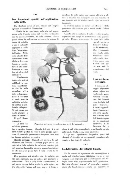 L' Italia agricola giornale di agricoltura