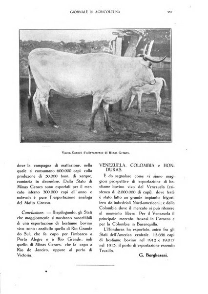 L' Italia agricola giornale di agricoltura