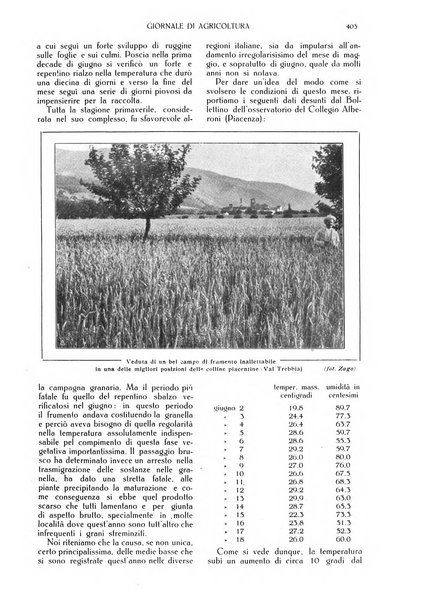 L' Italia agricola giornale di agricoltura