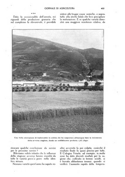 L' Italia agricola giornale di agricoltura