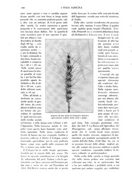 L' Italia agricola giornale di agricoltura