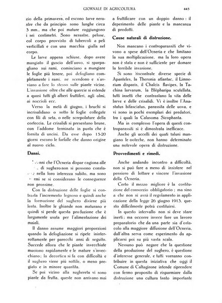 L' Italia agricola giornale di agricoltura