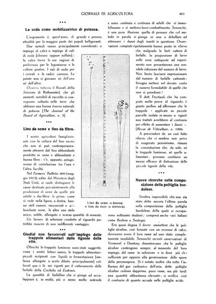 L' Italia agricola giornale di agricoltura