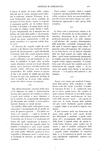 L' Italia agricola giornale di agricoltura