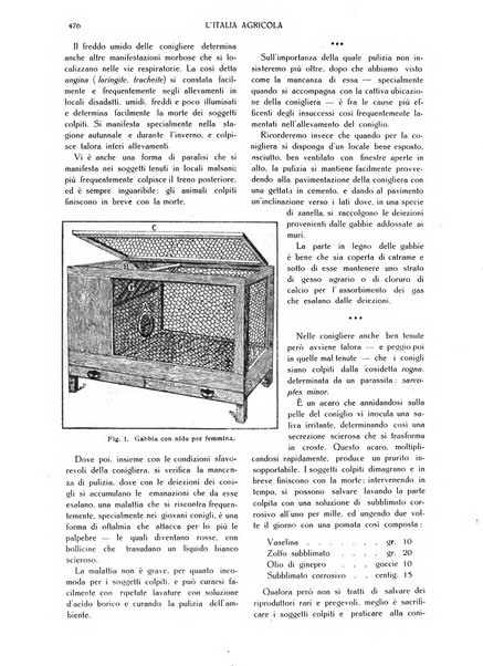 L' Italia agricola giornale di agricoltura