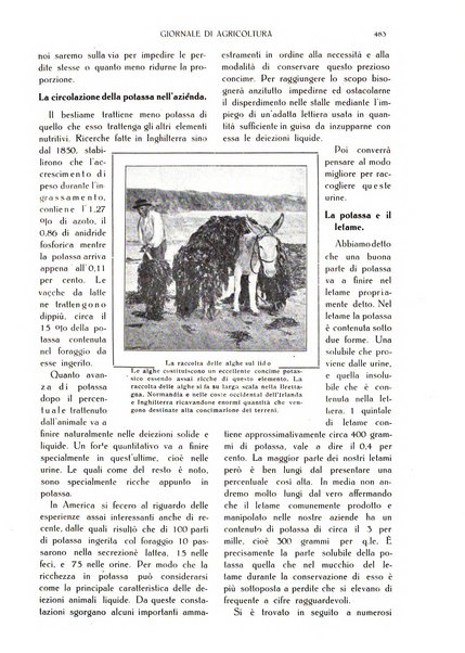 L' Italia agricola giornale di agricoltura