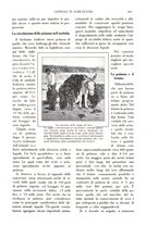 giornale/TO00210416/1915/unico/00000543