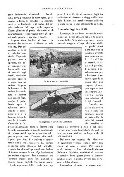 L' Italia agricola giornale di agricoltura