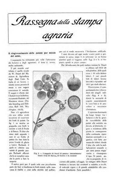 L' Italia agricola giornale di agricoltura