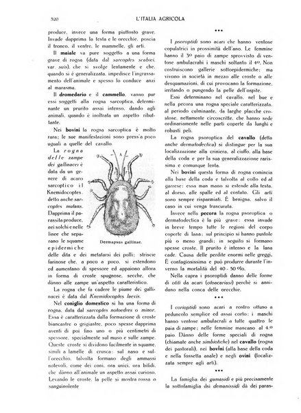 L' Italia agricola giornale di agricoltura