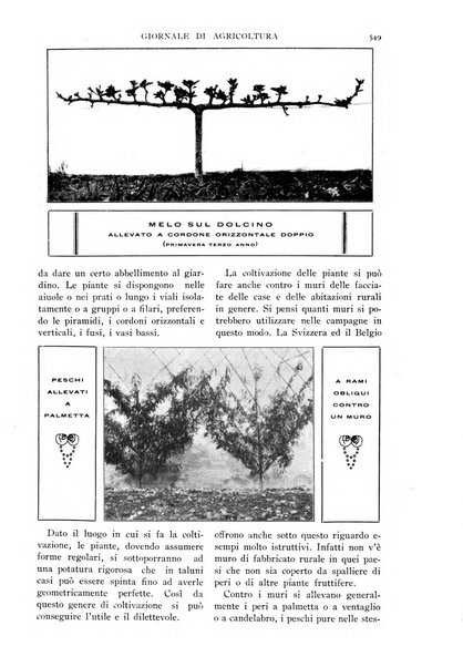 L' Italia agricola giornale di agricoltura